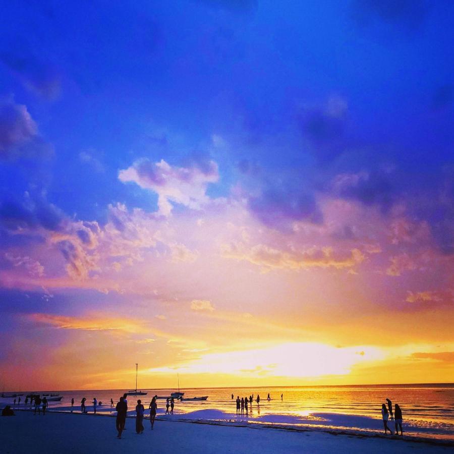 Ecoco Holbox - Eco-Chic - Cabanas De Madera - Holbox Retreat (Adults Only) Guest House ภายนอก รูปภาพ